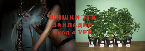 ГАЛЛЮЦИНОГЕННЫЕ ГРИБЫ Абдулино
