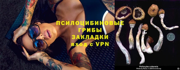 ГАЛЛЮЦИНОГЕННЫЕ ГРИБЫ Абдулино
