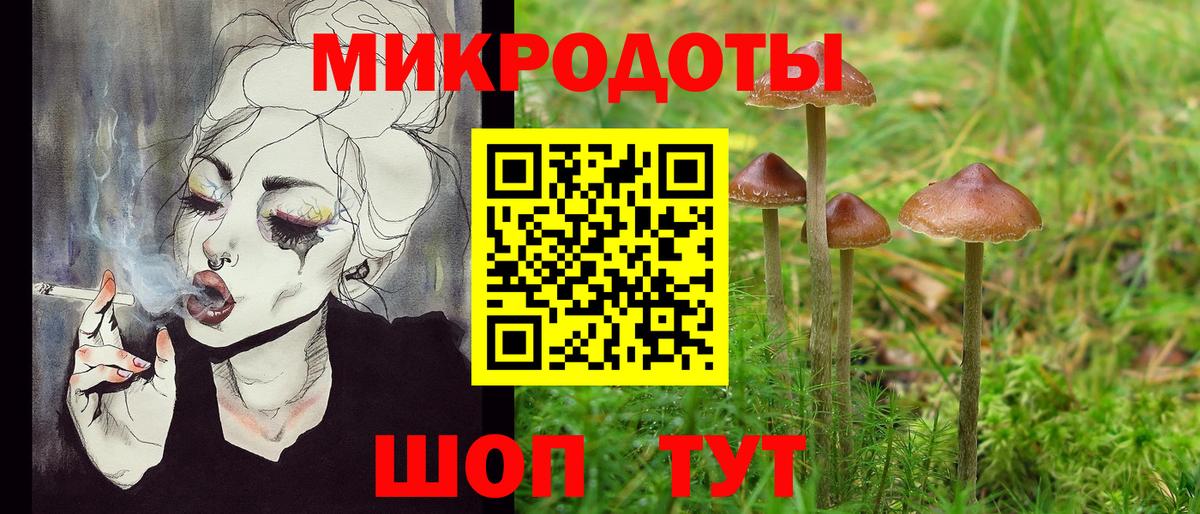 Псилоцибиновые грибы Psilocybine cubensis Алапаевск